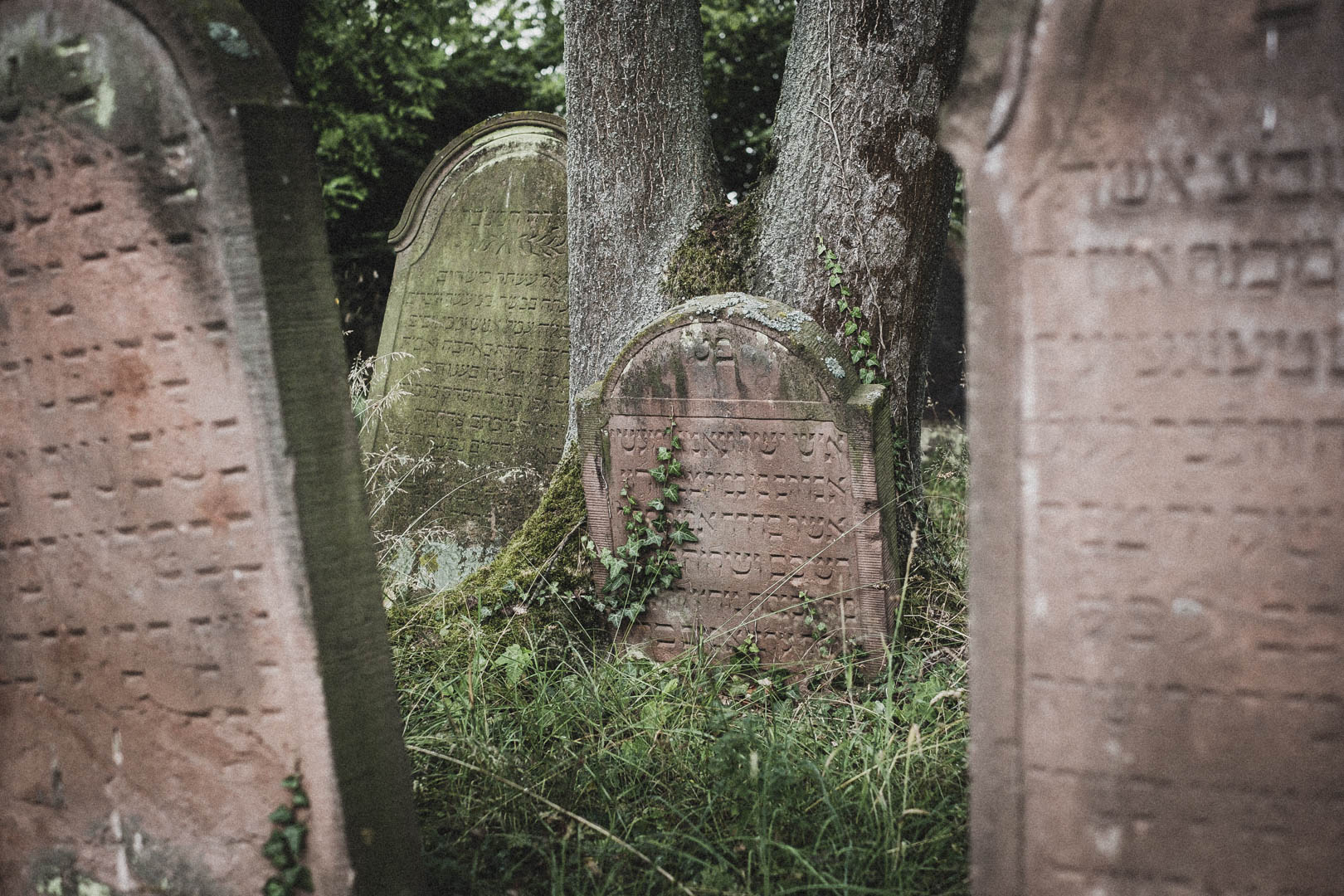 Langenselbold, Jüdischer Friedhof